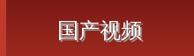 国产视频 Logo